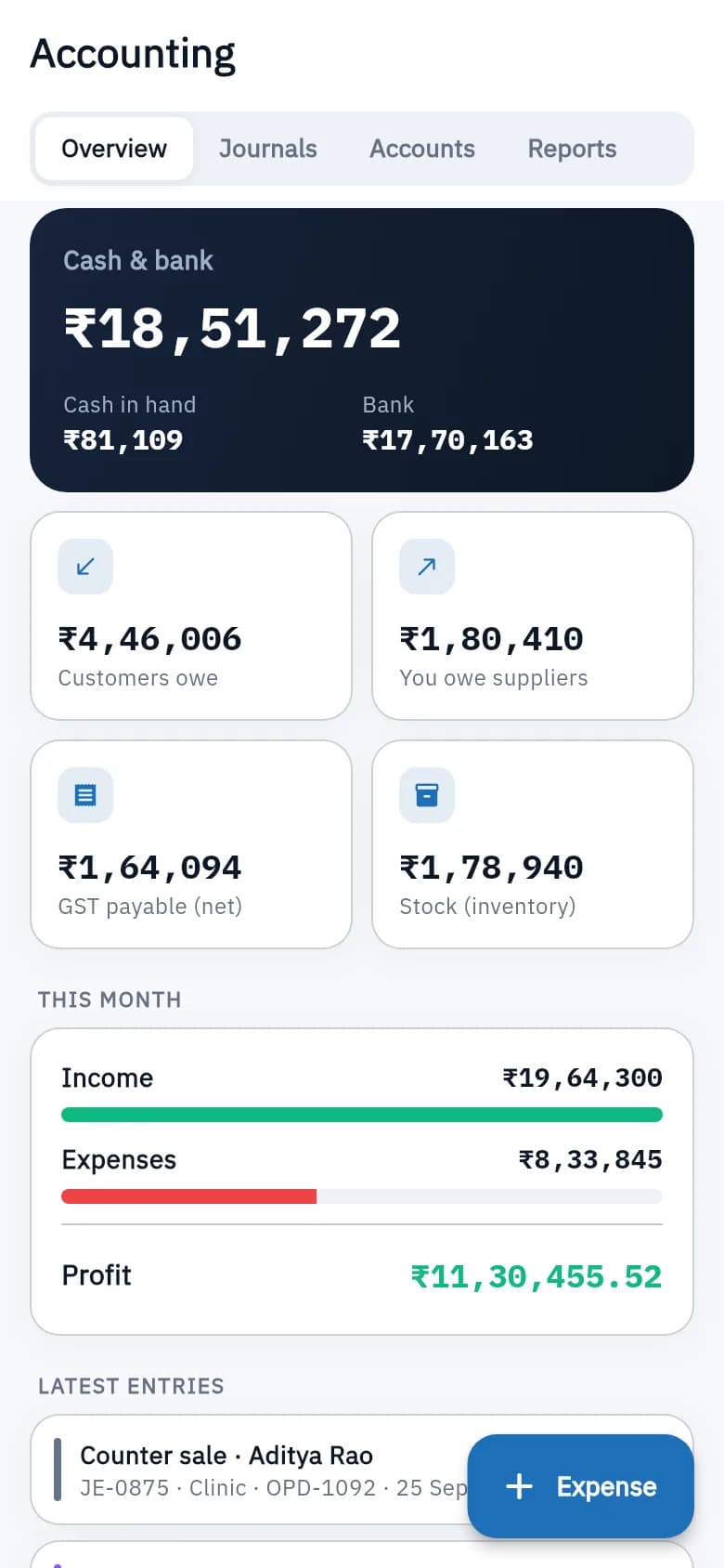 Accounting screen on iPhone, light mode